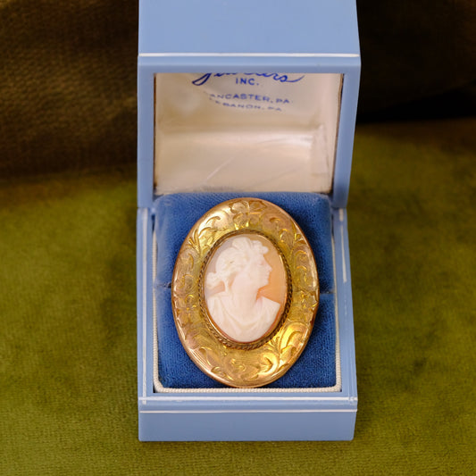 Victorian Shell Cameo with 10K Etched Border