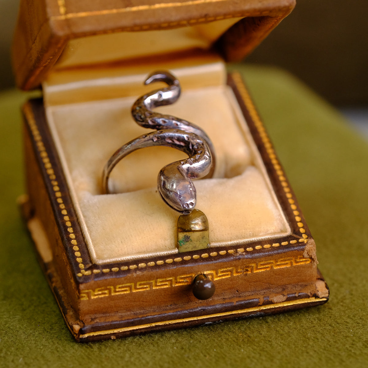 Silver Snake Ring