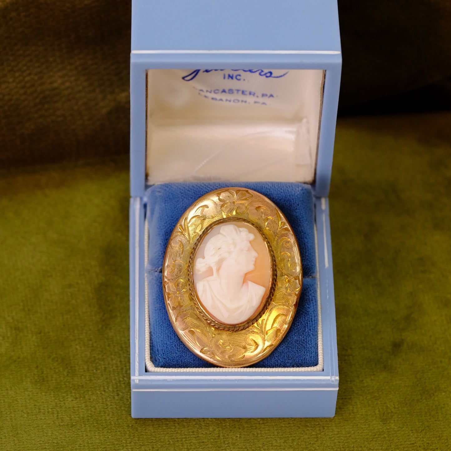 Victorian Shell Cameo with 10K Etched Boarder