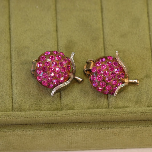 Lucite Berry Earrings